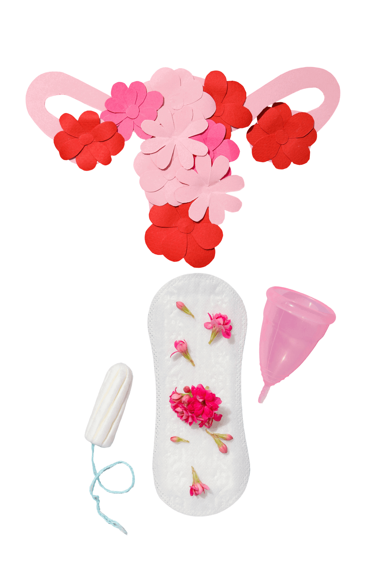 nohat_bg_removed_8c6825c4